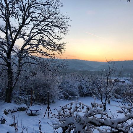 Ueber Den Daechern Von Koblenz - Aussichts-Wohnung Naturpark Rheinblick, Ruhig, Zentrumsnah, Sport-Pool Dış mekan fotoğraf