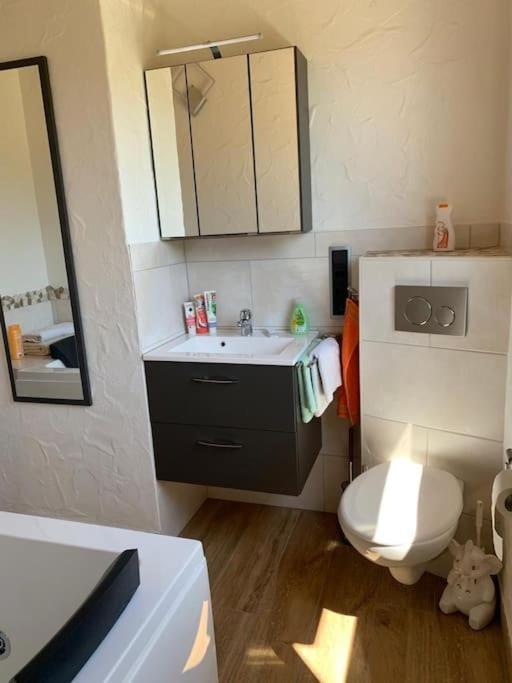 Ueber Den Daechern Von Koblenz - Aussichts-Wohnung Naturpark Rheinblick, Ruhig, Zentrumsnah, Sport-Pool Dış mekan fotoğraf