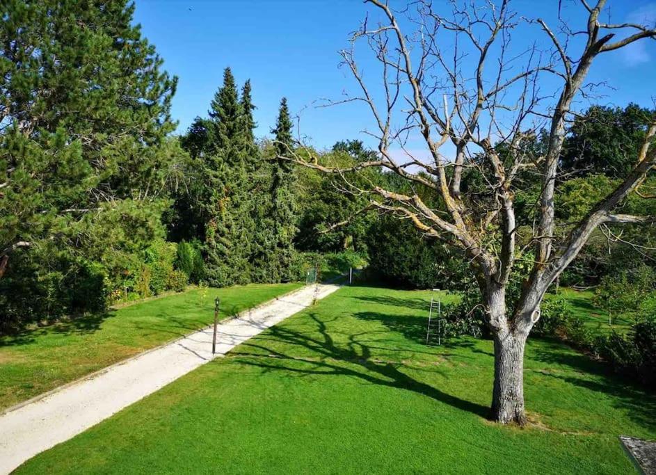 Ueber Den Daechern Von Koblenz - Aussichts-Wohnung Naturpark Rheinblick, Ruhig, Zentrumsnah, Sport-Pool Dış mekan fotoğraf