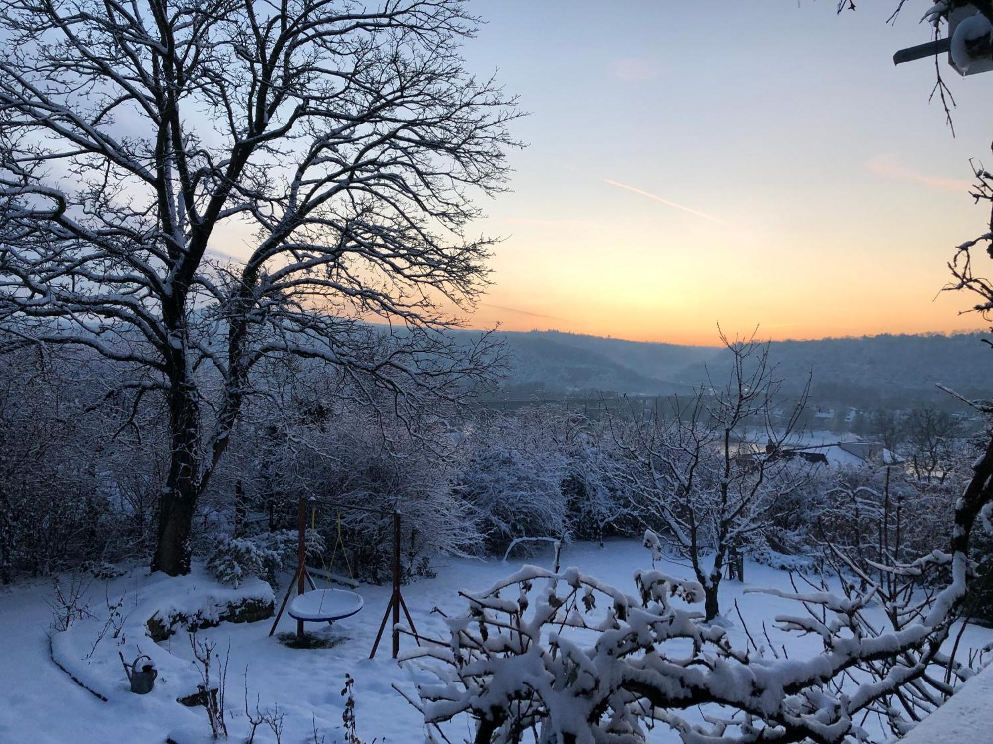 Ueber Den Daechern Von Koblenz - Aussichts-Wohnung Naturpark Rheinblick, Ruhig, Zentrumsnah, Sport-Pool Dış mekan fotoğraf