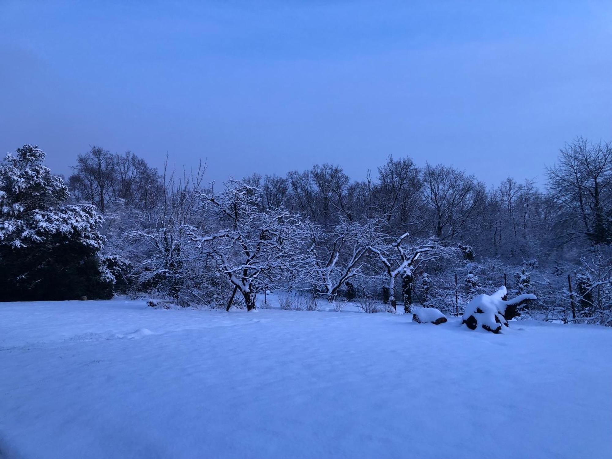 Ueber Den Daechern Von Koblenz - Aussichts-Wohnung Naturpark Rheinblick, Ruhig, Zentrumsnah, Sport-Pool Dış mekan fotoğraf